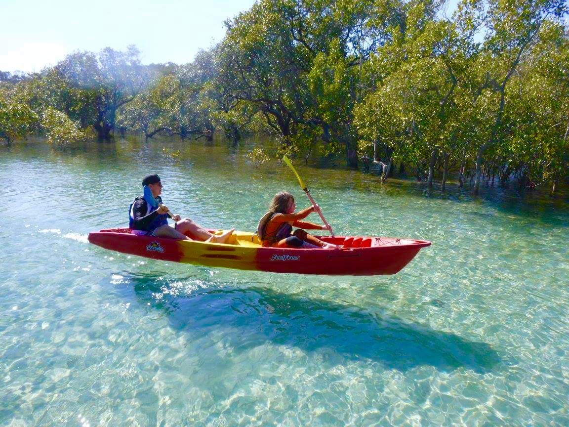 Brunswick River Natur-Kayak-Tour