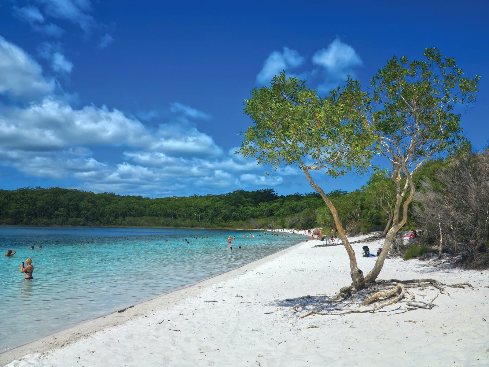 K'gari (Fraser Island): Premium-Natur-Tagestour ab Noosa oder Rainbow Beach