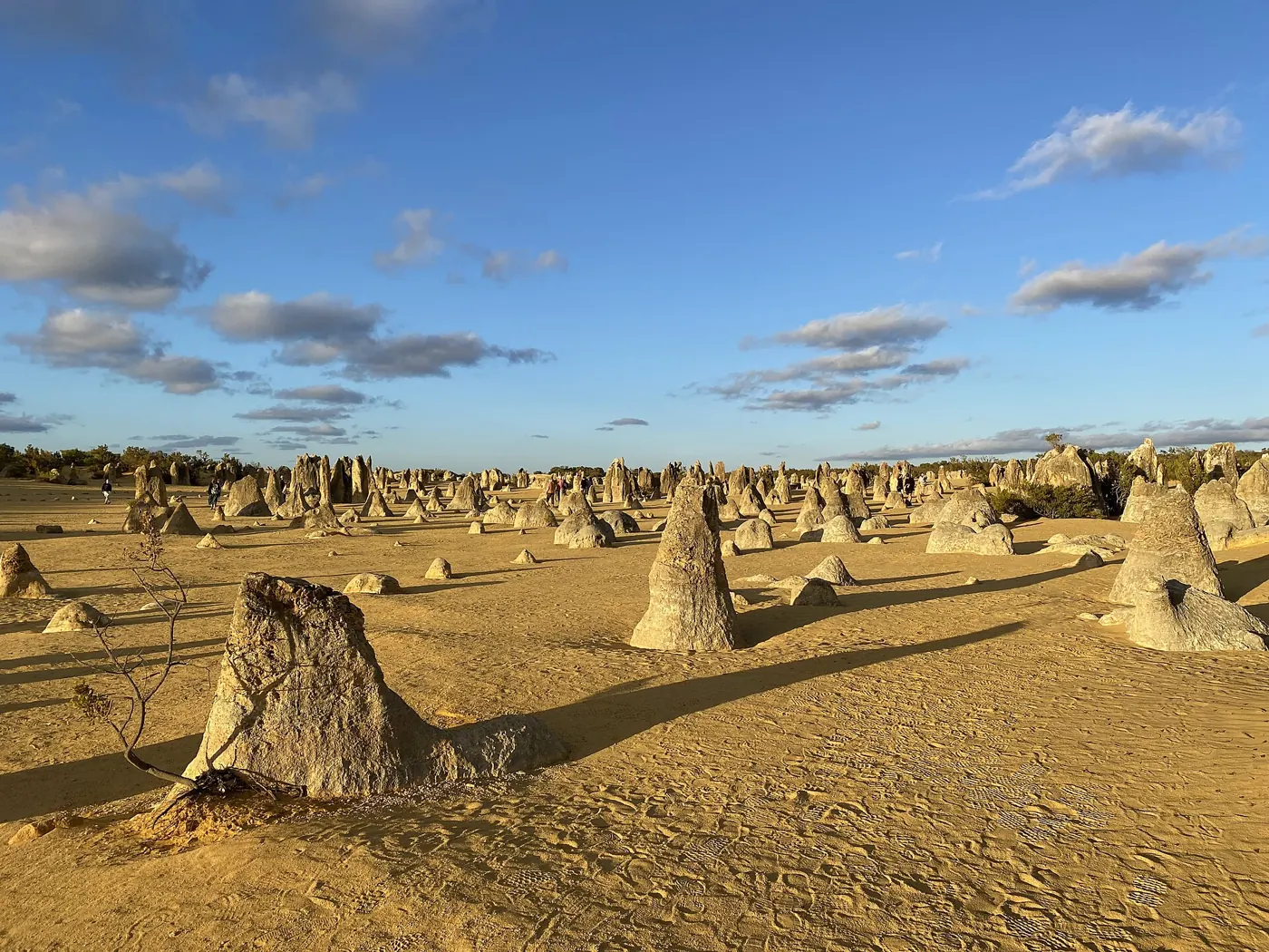 Kalksteinsäulen der Pinnacles Desert, Nambung National Park