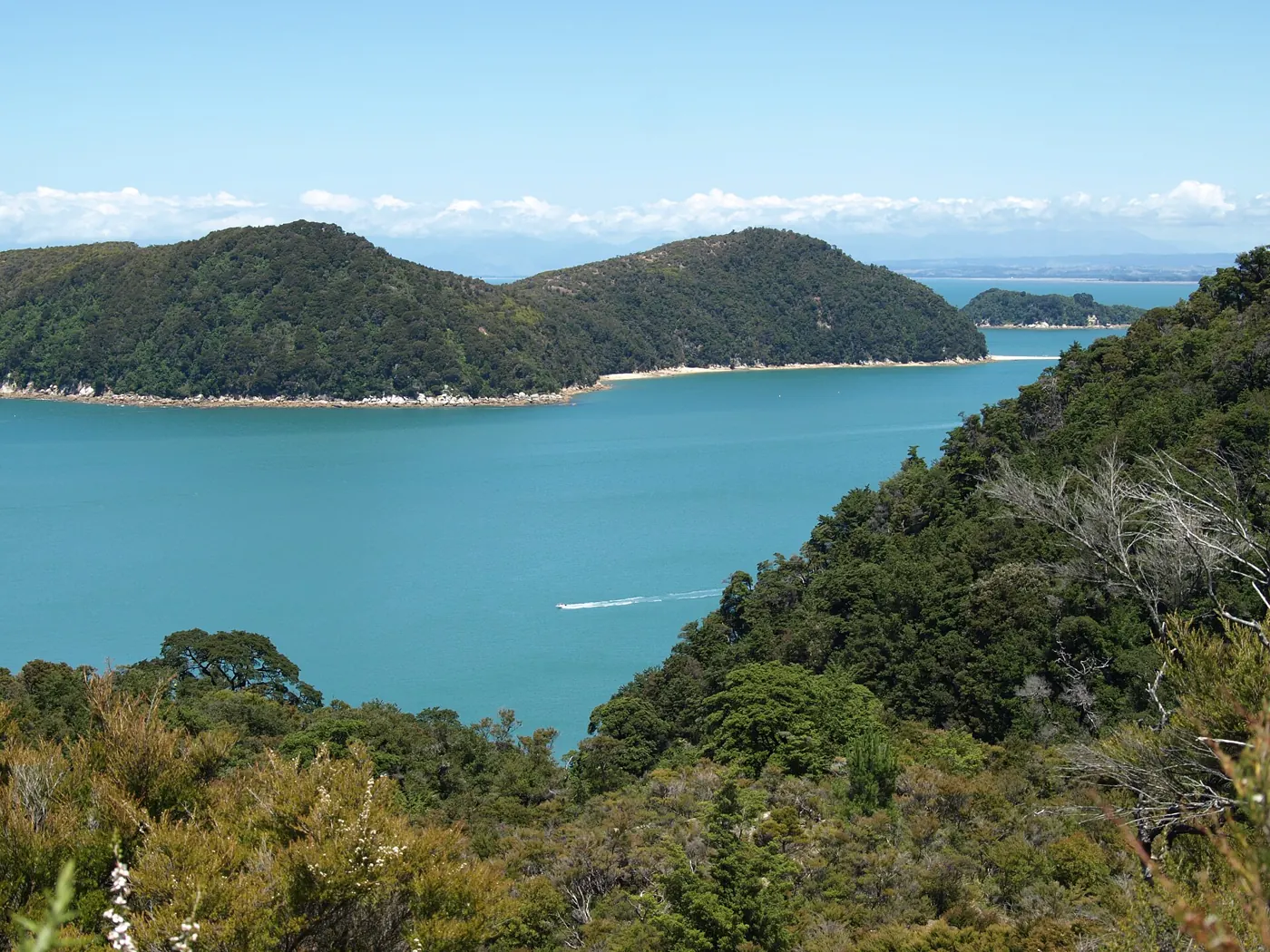 Türkise Bucht im Abel Tasman National Park