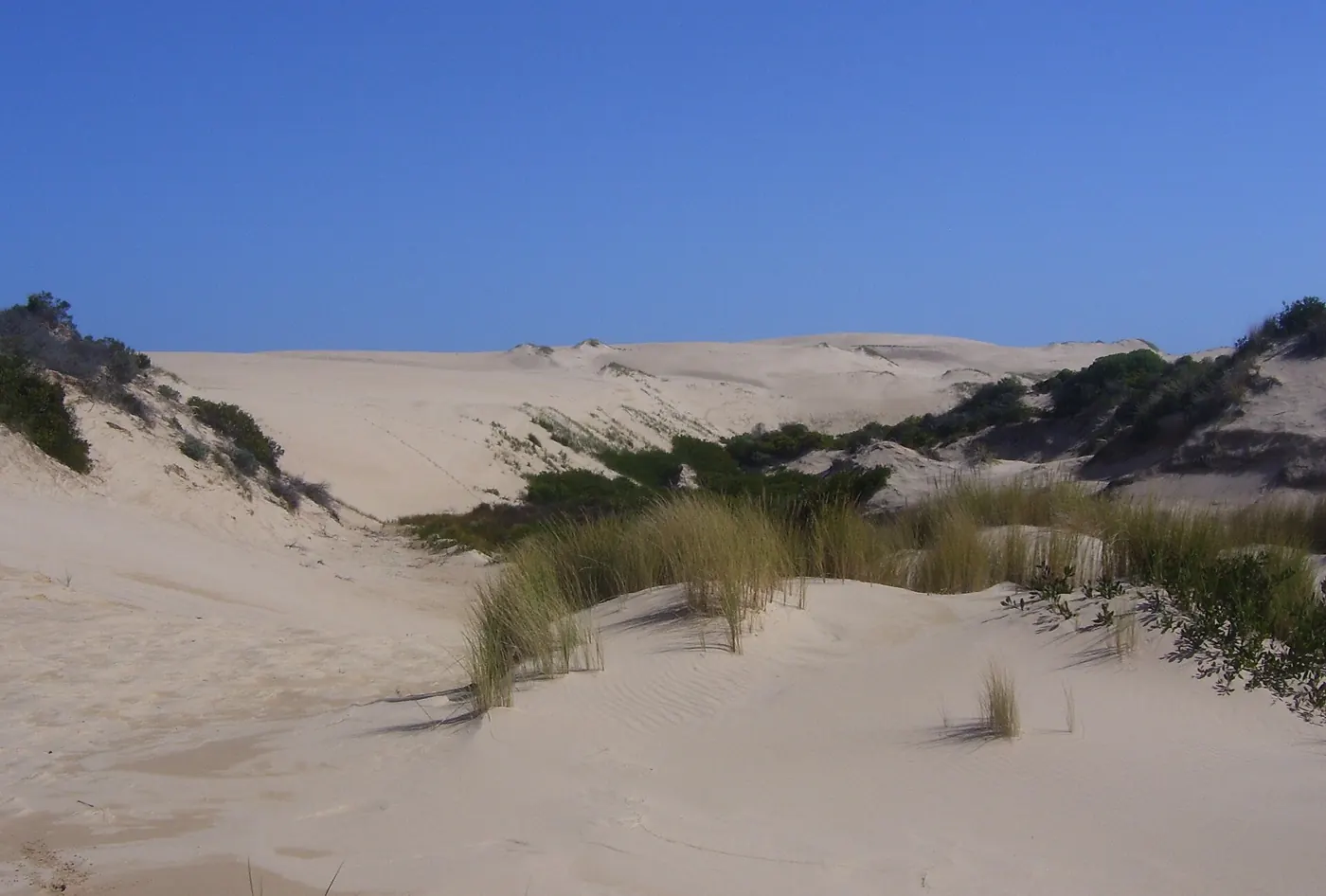 Sanddünen im Coorong National Park