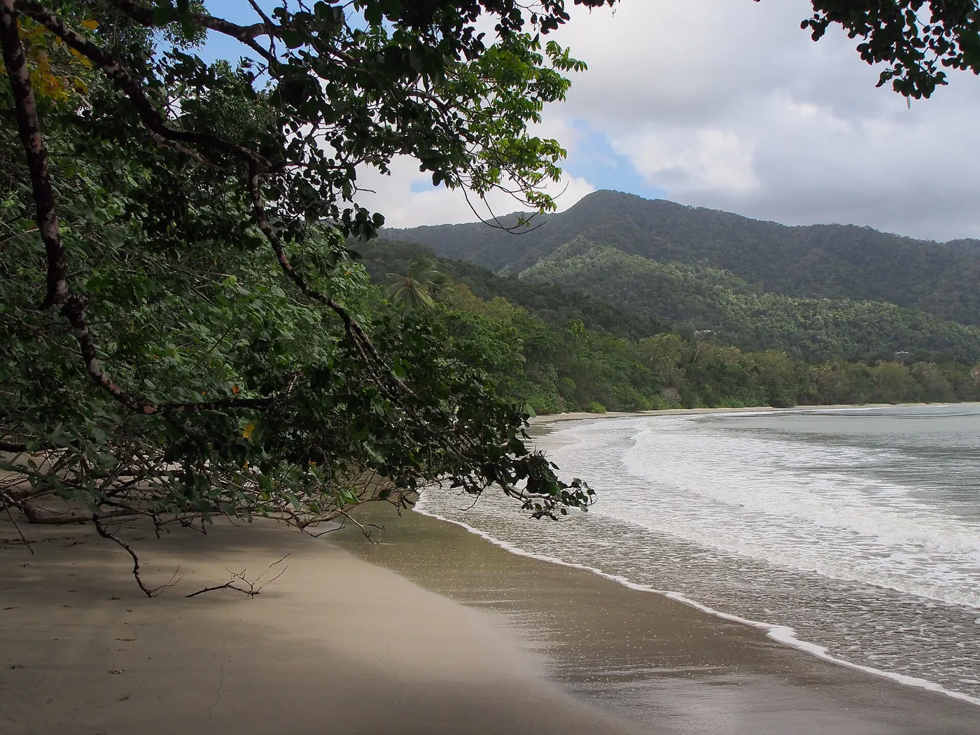 Am Cape Tribulation im Daintree trifft der Regenwald aufs Meer