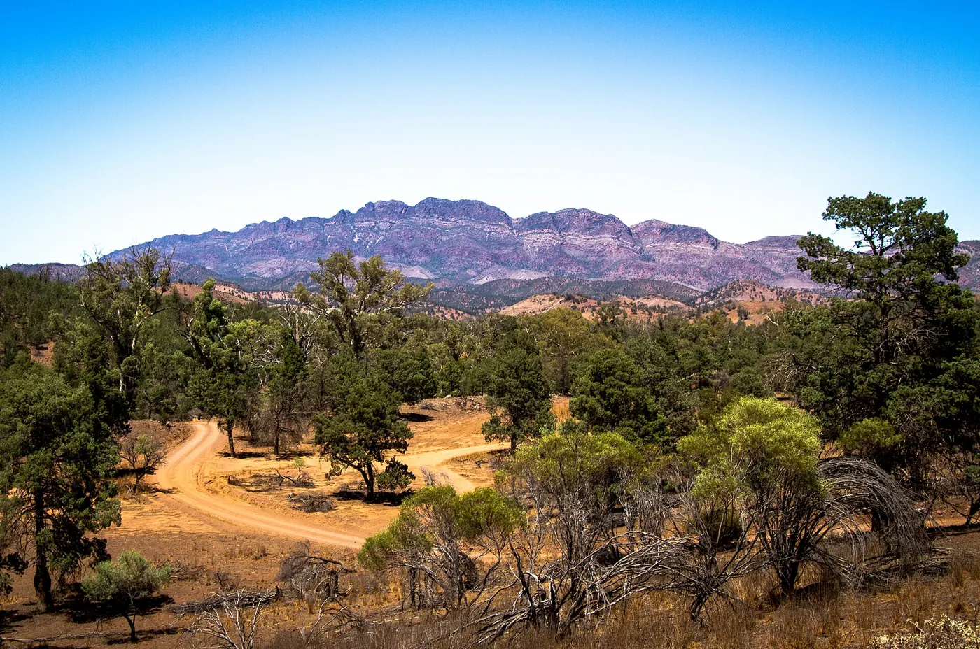 Wilpena Pound in den Flinders Ranges