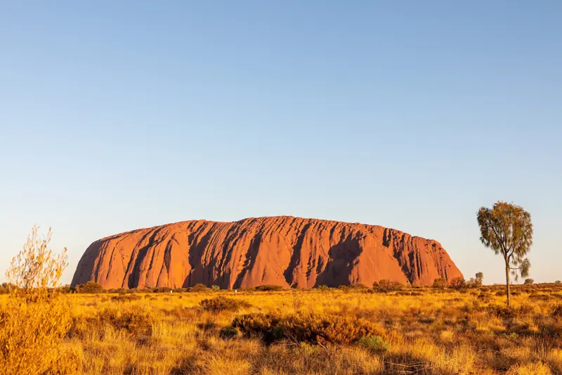 Darwin nach Adelaide