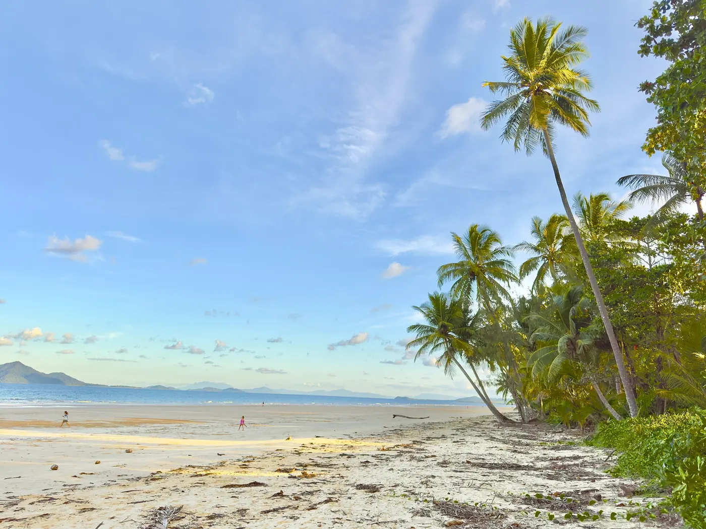 Sandstrand mit Palmen in Mission Beach