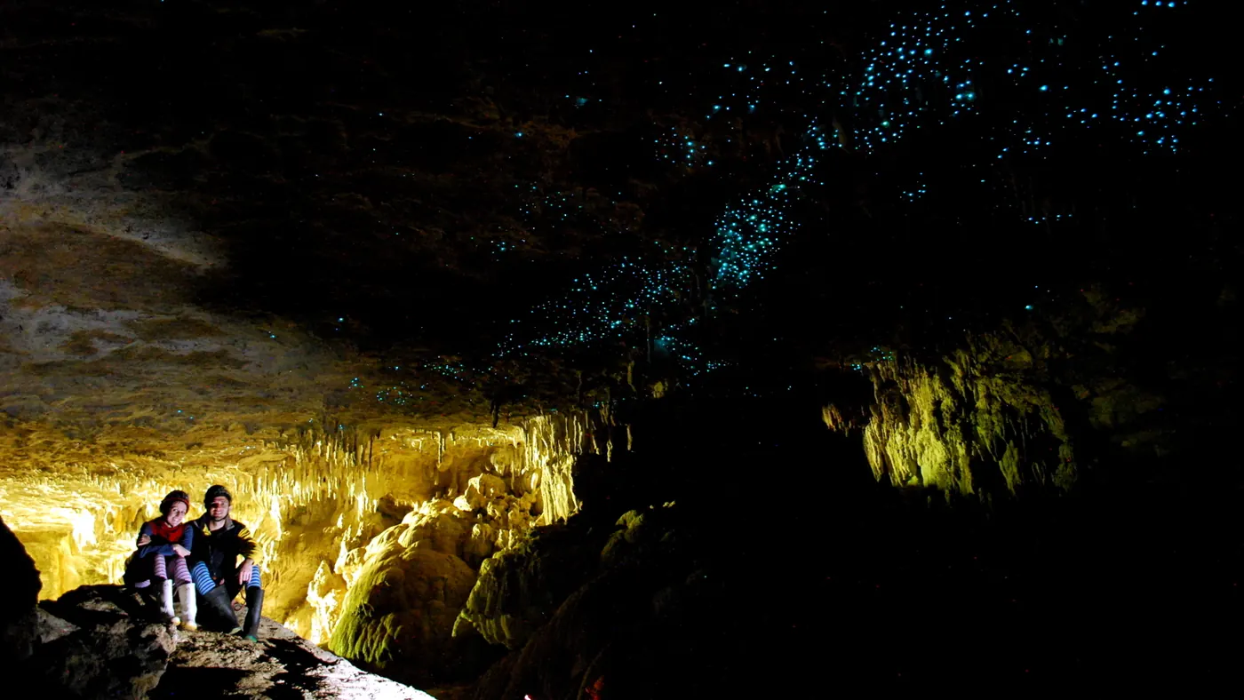 Glühwürmchen erleuchten eine Höhlendecke in Waitomo
